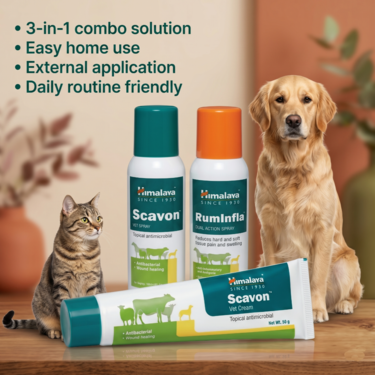 Pet Skin Care Support Combo For Dogs Cats & Vet (PETC4)