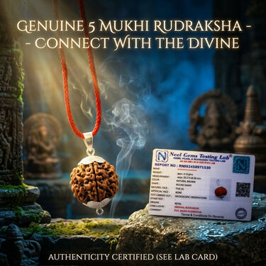 5 Mukhi Rudraksh (5MR)