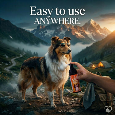 Dry Shampoo For Dogs & Cats (PETC6)