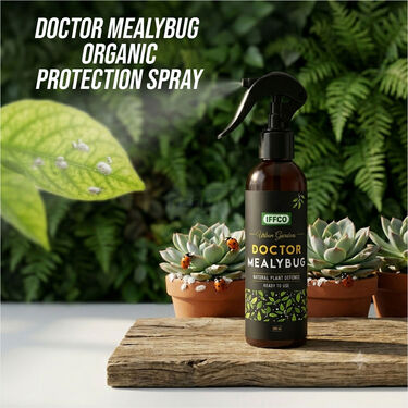 Doctor Mealybug - Organic Protection Ready-To-Use (PCS2)
