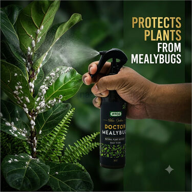 Doctor Mealybug - Organic Protection Ready-To-Use (PCS2)