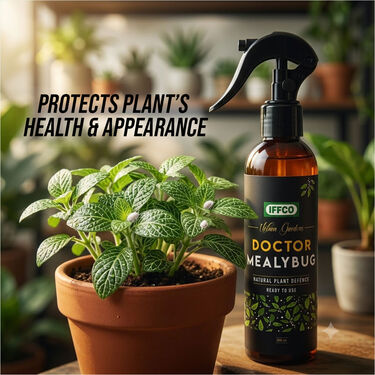 Doctor Mealybug - Organic Protection Ready-To-Use (PCS2)