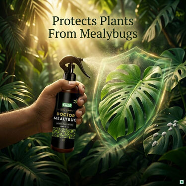 Doctor Mealybug - Organic Protection Ready-To-Use (PCS2)