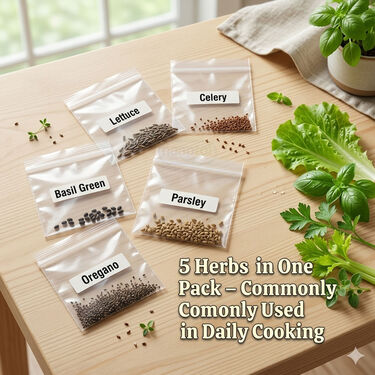 Pack of 5 Herb Seeds - Lettuce, Basil Green, Parsley, Celery, Oregano (GHS1)