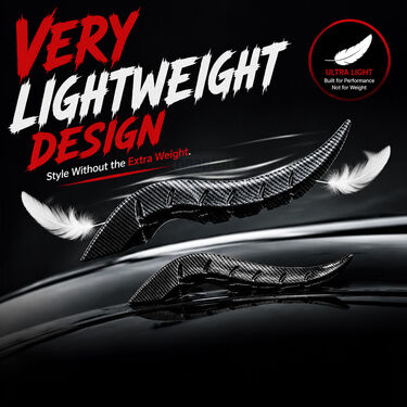 Car Roof Decorative Styling Horns (CED13)