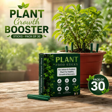 Plant Growth Booster Sticks (PFS2)