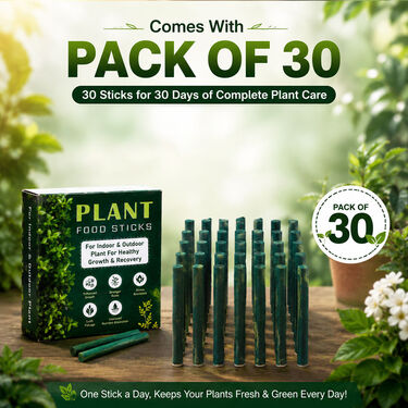 Plant Growth Booster Sticks (PFS2)
