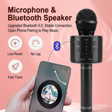 Rechargeable Load Speakes Mic For Teaching (BLS29)