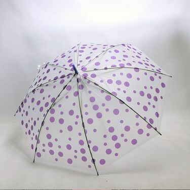 Buy 1 Get 1 Transparent Multi Colour Umbrellas (2U2)