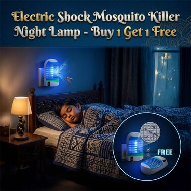 Electric Shock Mosquito Killer Night Lamp Buy 1 Get 1 Free (MK6)