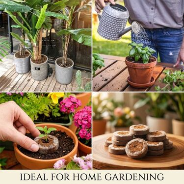 Pack of 6 Coconut Coir For Plant Growth (COC1)