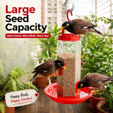 Hanging Bird Feeder For Urban Garden (GBF1)