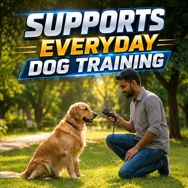 Sonic Dog Trainer and Repeller Device (PET11)