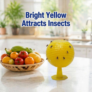 Pack Of 4 Fruit Fly Trap For Home & Garden (FR4)