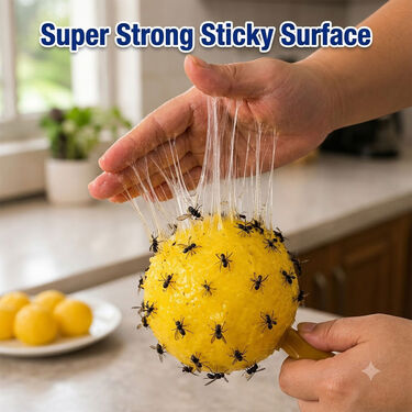 Pack Of 4 Fruit Fly Trap For Home & Garden (FR4)