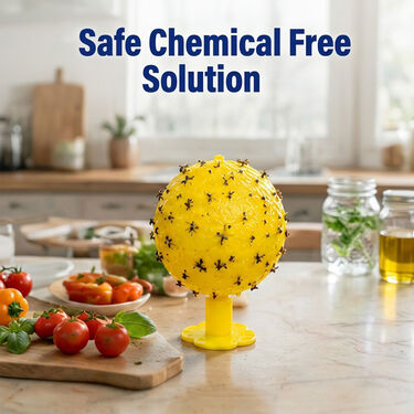 Pack Of 4 Fruit Fly Trap For Home & Garden (FR4)