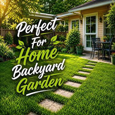All Season Evergreen Grass Seeds (GSD2)
