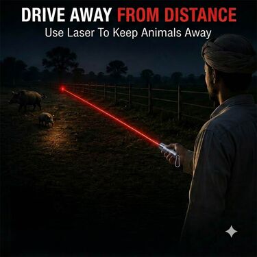 Animal Repellent Laser Keychain With Flashlight And Money Detector B1G1 (LL69)