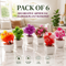 6 Decorative Artificial Flower Plant With Pot (DRFP4)