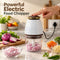 Powerfull Electric Food Chopper (EC13)