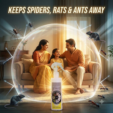 All In One Pest Repellent Spray (REP1)