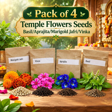 Pack of 4 Daily Pooja Ritual Flower Seeds (GDN7)