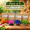 Pack of 4 Daily Pooja Ritual Flower Seeds (GDN7)