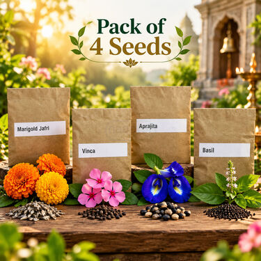 Pack of 4 Daily Pooja Ritual Flower Seeds (GDN7)