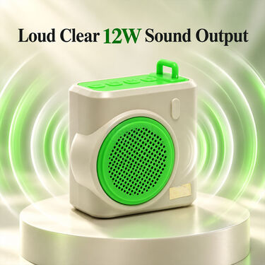 Portable Wireless Speaker With FM Radio (BLS33)