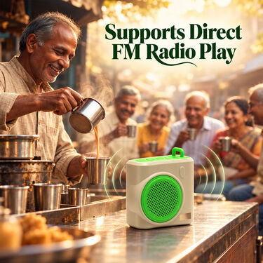 Portable Wireless Speaker With FM Radio (BLS33)