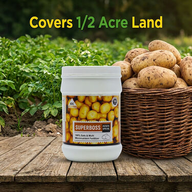 Potato Crop Special Multi Micronutrient Agro Fertilizer (AGR1)