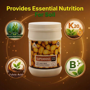 Potato Crop Special Multi Micronutrient Agro Fertilizer (AGR1)