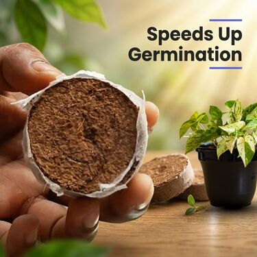 Magic Expanding Coconut Soil Disc Pack of 3 (GDN6)