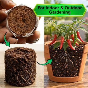 Magic Expanding Coconut Soil Disc Pack of 3 (GDN6)