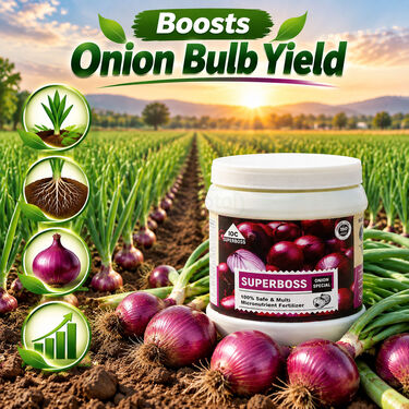 Onion Crop Special Multi Micronutrient Agro Fertilizer(AGR2)