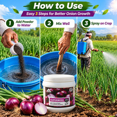 Onion Crop Special Multi Micronutrient Agro Fertilizer(AGR2)