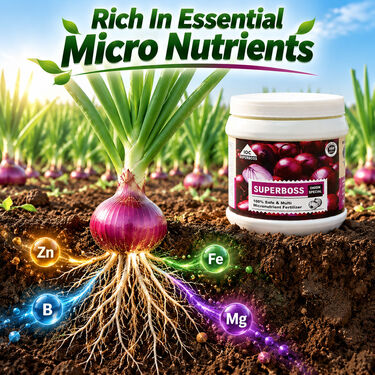 Onion Crop Special Multi Micronutrient Agro Fertilizer(AGR2)
