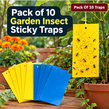 Garden Insect Sticky Traps Pack Of 10 (SAN10)