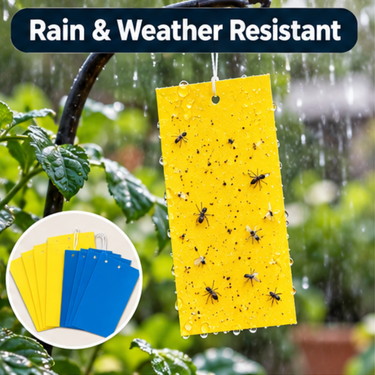 Garden Insect Sticky Traps Pack Of 10 (SAN10)