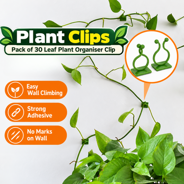 Plant Climbing Wall Organiser Clips Pack of 30 (GDN8)