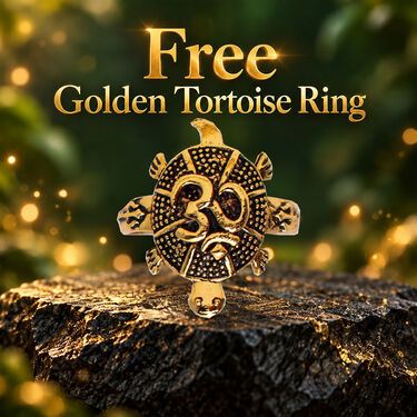 Dhan Yog Bracelet With Free Tortoise Ring (SJBR25)