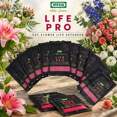 Life Pro Cut Flower Life Extender Pack Of 20 (GDN3)