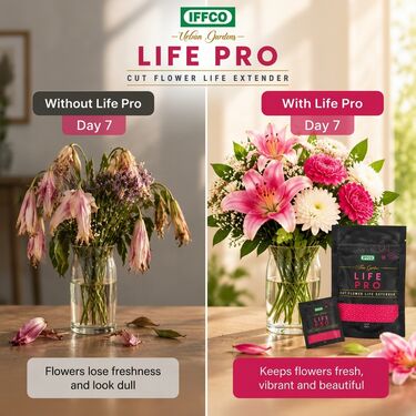 Life Pro Cut Flower Life Extender Pack Of 20 (GDN3)