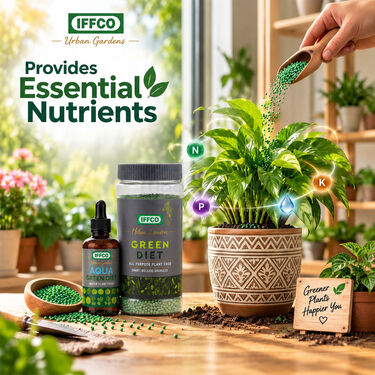 Green Diet With Aqua Green Diet Plant Growth Booster (GDN4)