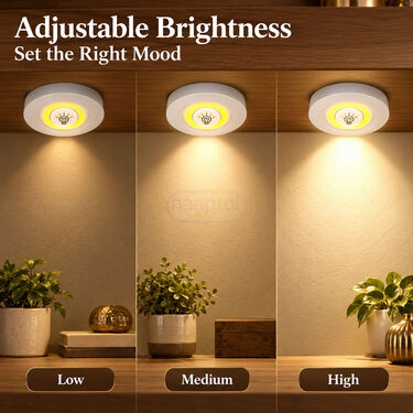 3 In 1 Remote LED Light (LL94)