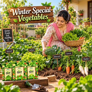 5-In-1 Winter Vegetable Seeds Kit For Home Gardening (GDN10)