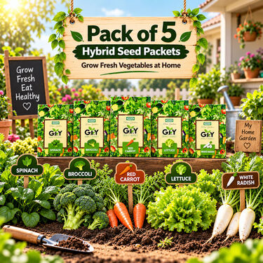 5-In-1 Winter Vegetable Seeds Kit For Home Gardening (GDN10)