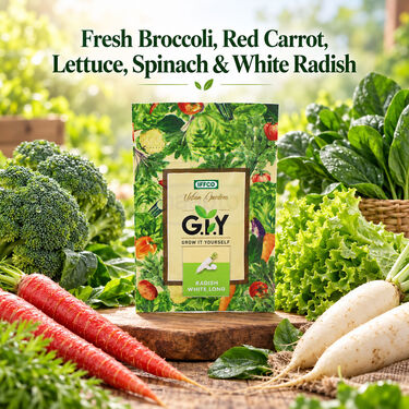 5-In-1 Winter Vegetable Seeds Kit For Home Gardening (GDN10)