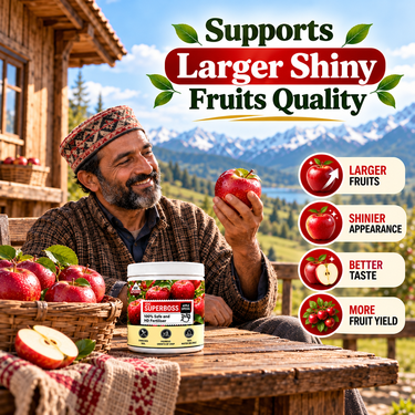 Apple Special Micronutrient Fertilizer (AGR3)