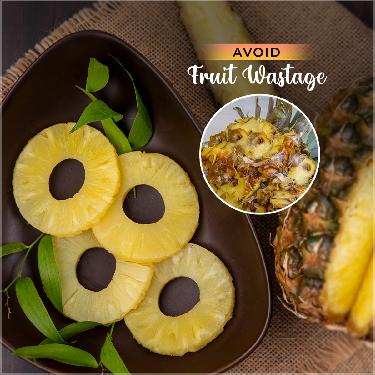 Pineapple Cutter (PAC1)